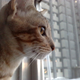Image for article titled Shooting Challenge: Cellphone Gallery Part 4